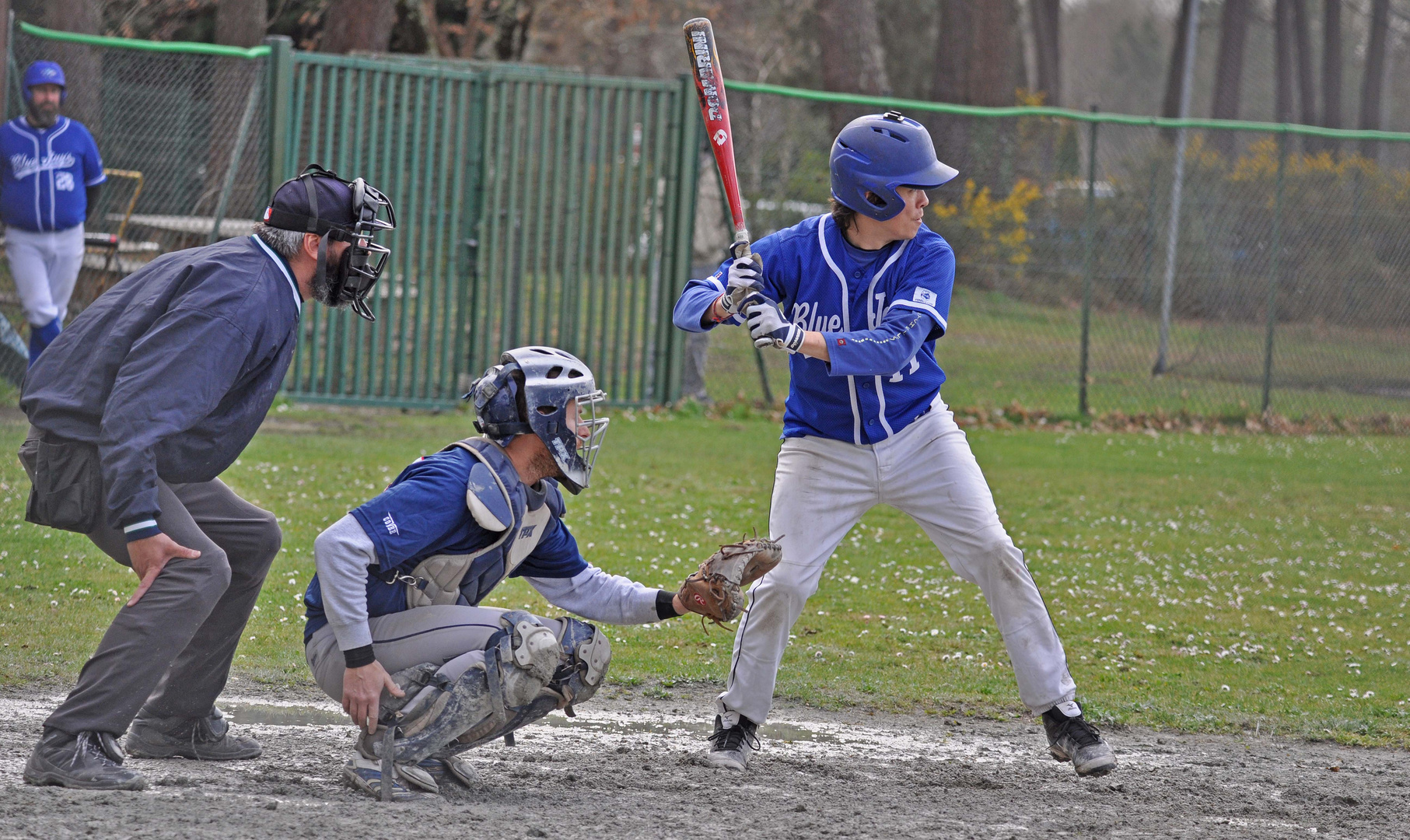 La Batte de Baseball....