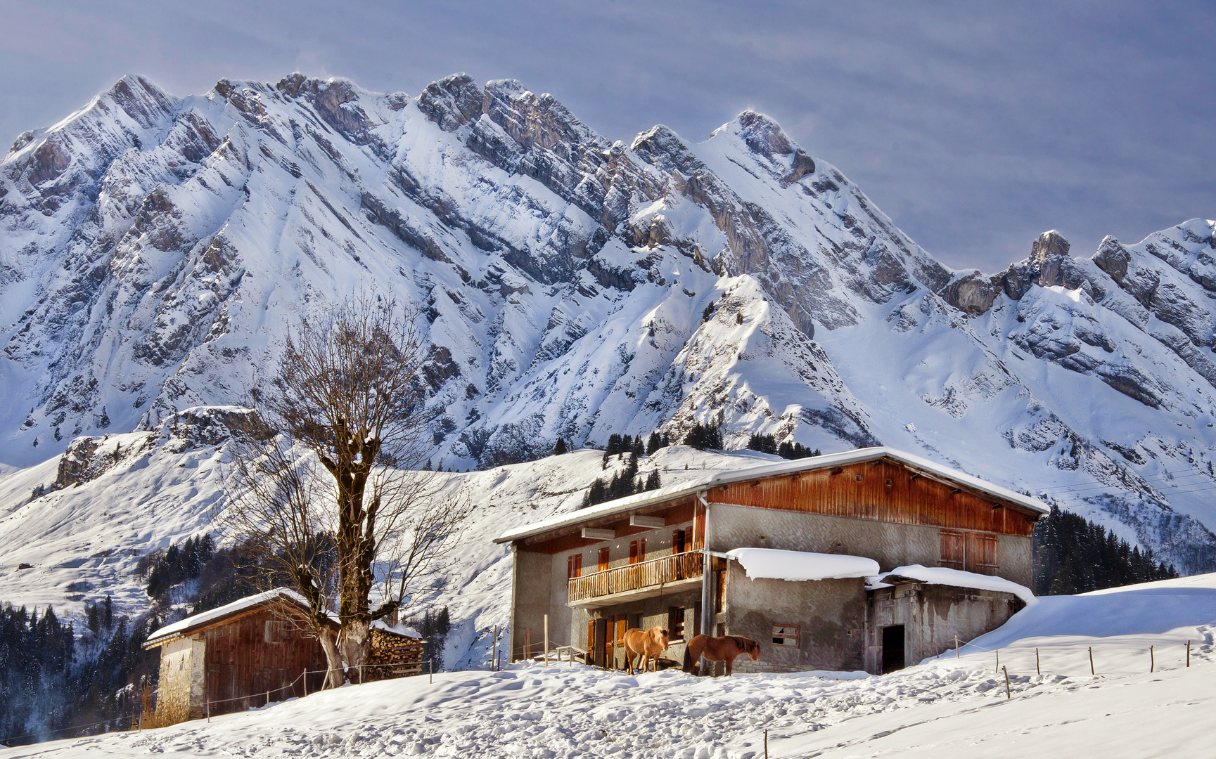 La beauté de la montagne