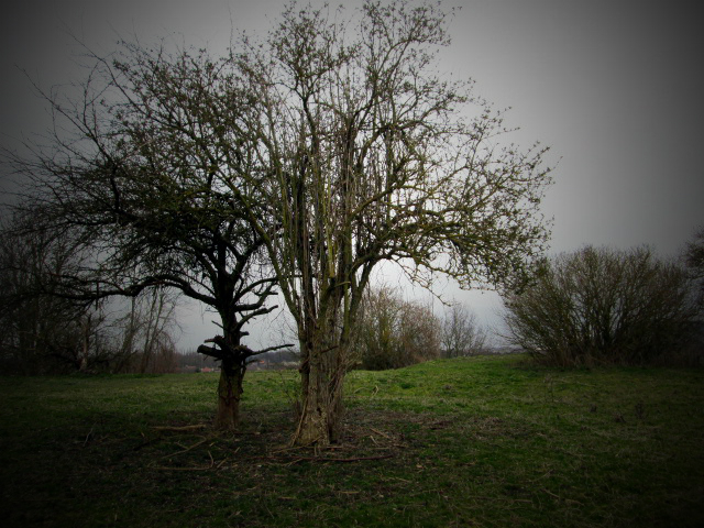 La beauté de la nature