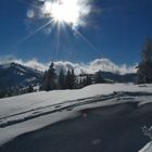 La beauté de la nature