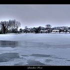 La beauté de l'hiver