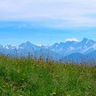 La beauté des Alpes