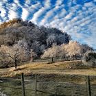 la beauté du givre 