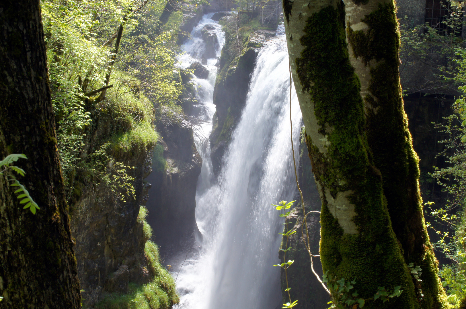 la beauté du jura