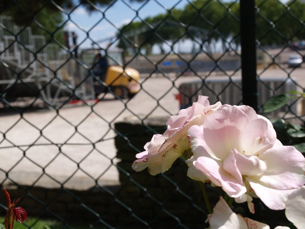 La beauté emprisonnée