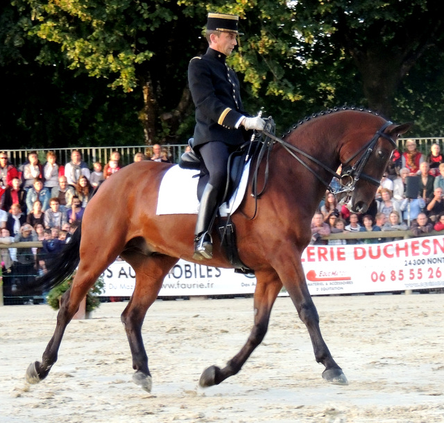 La beauté et la rigueur du Cadre noir de Saumur