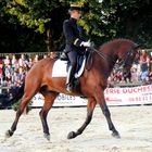 La beauté et la rigueur du Cadre noir de Saumur