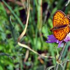 La beautée de la nature.