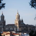 La Bella Desconocida (Catedral de Jaén)