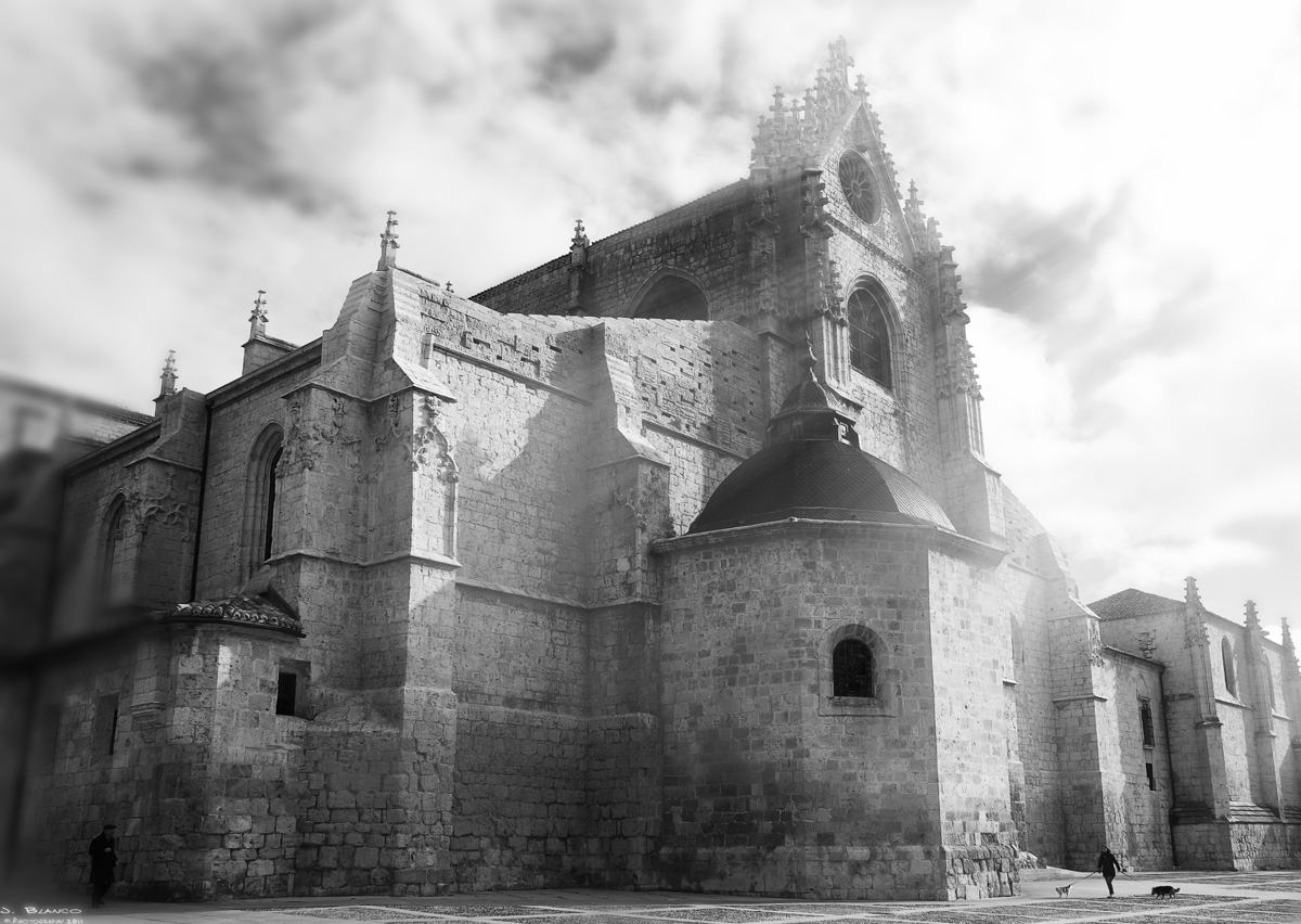 "La Bella Desconocida", Catedral de San Antolín. Palencia