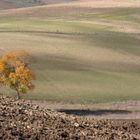 la bella Puglia