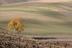 la bella Puglia