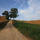 LA BELLA TOSCANA : Val D' Orcia