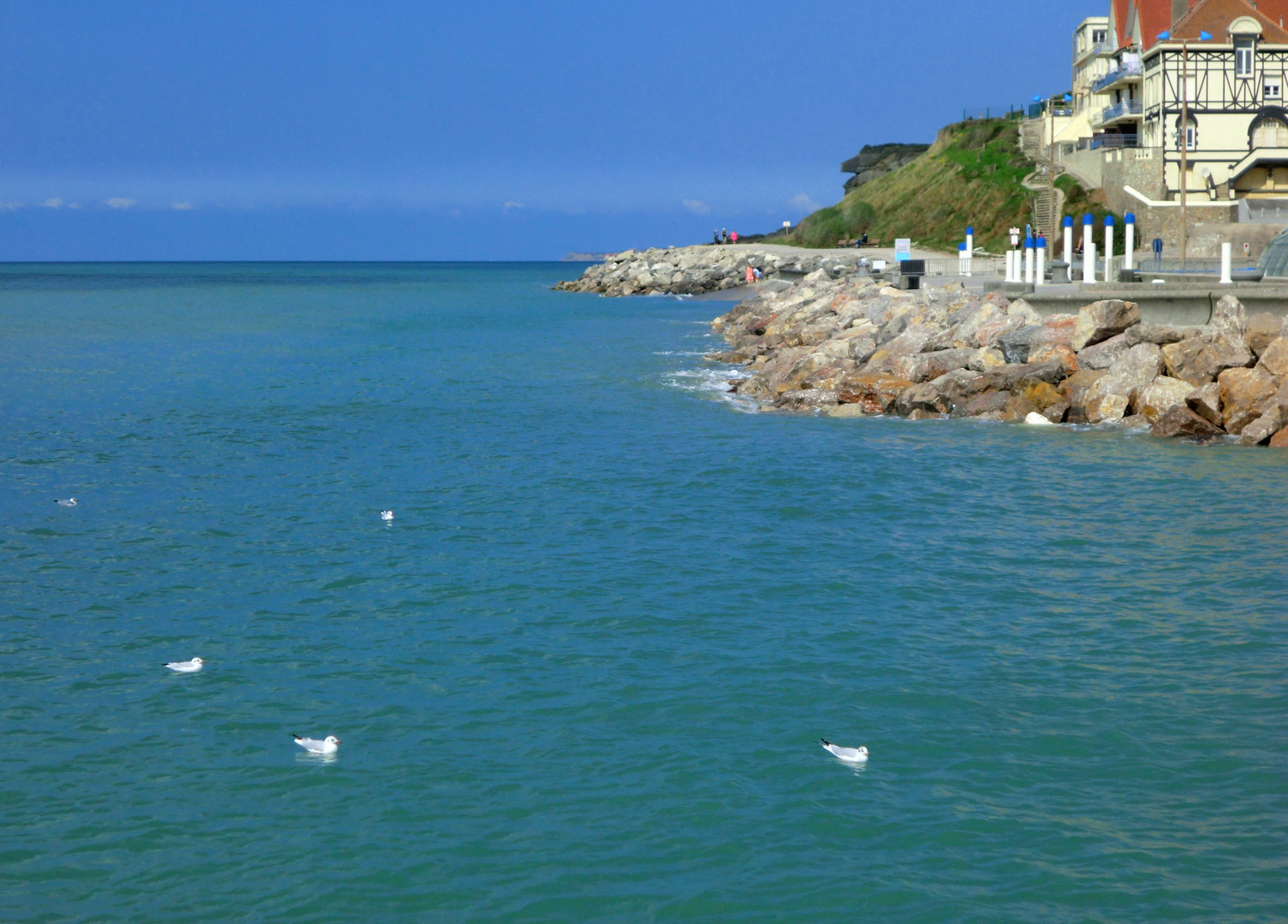 La belle bleue à Wimereux