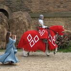 La Belle et le chevalier ...