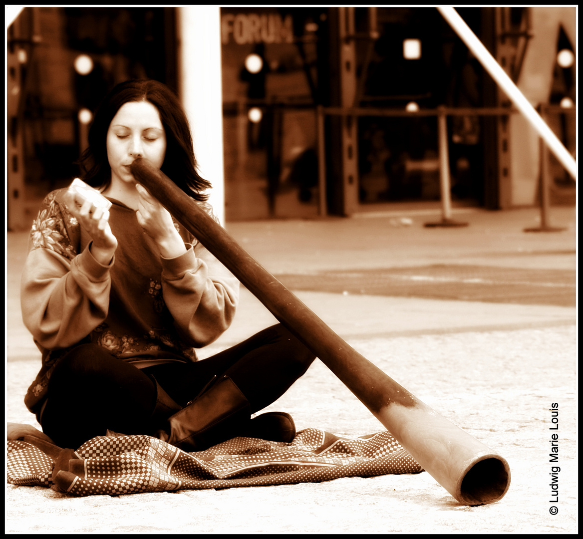 La belle et le Didgeridoo. 02