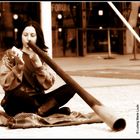 La belle et le Didgeridoo. 02