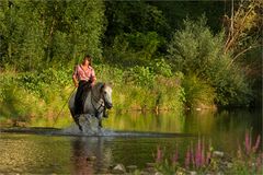 la belle gaucho