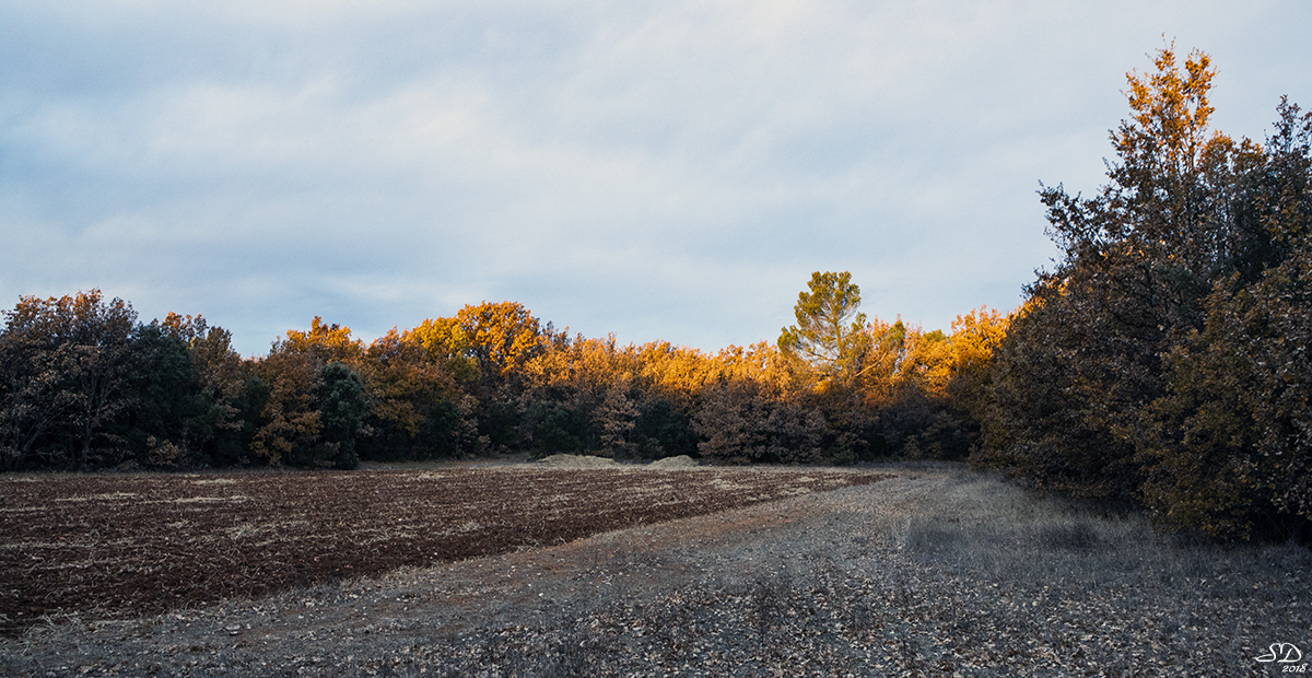 La belle terre photo et image animations photographiques, exercices