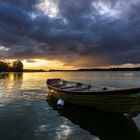 la bellezza dei colori