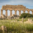 La bellezza dei Templi Siciliani