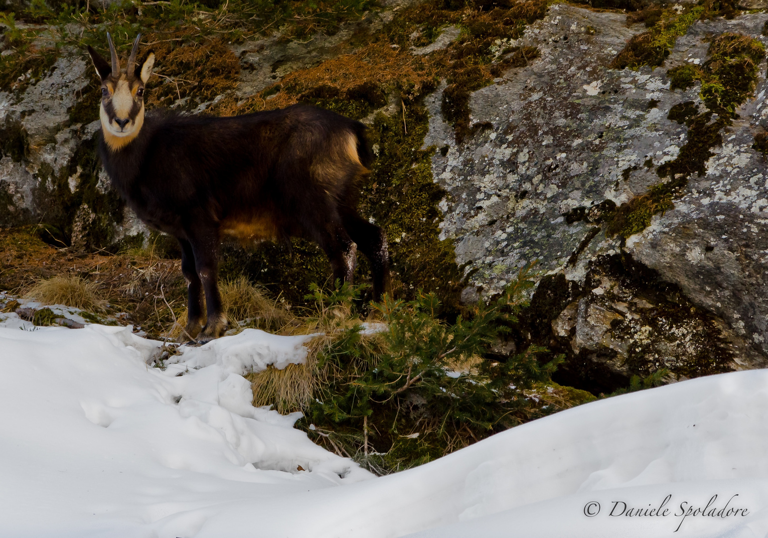 La bellezza della natura