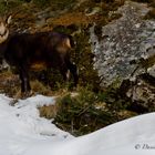 La bellezza della natura