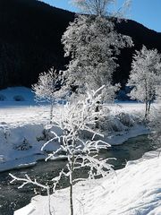 La bellezza della neve al sole