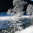 La bellezza della neve al sole