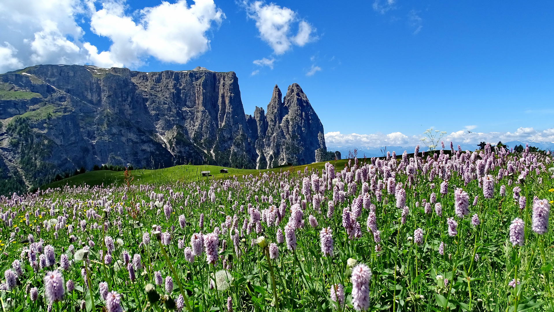 La bellezza di una montagna