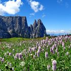 La bellezza di una montagna