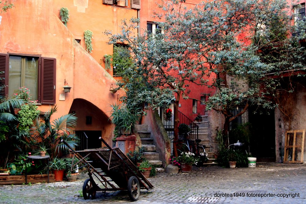 "la bellezza in un cortile"