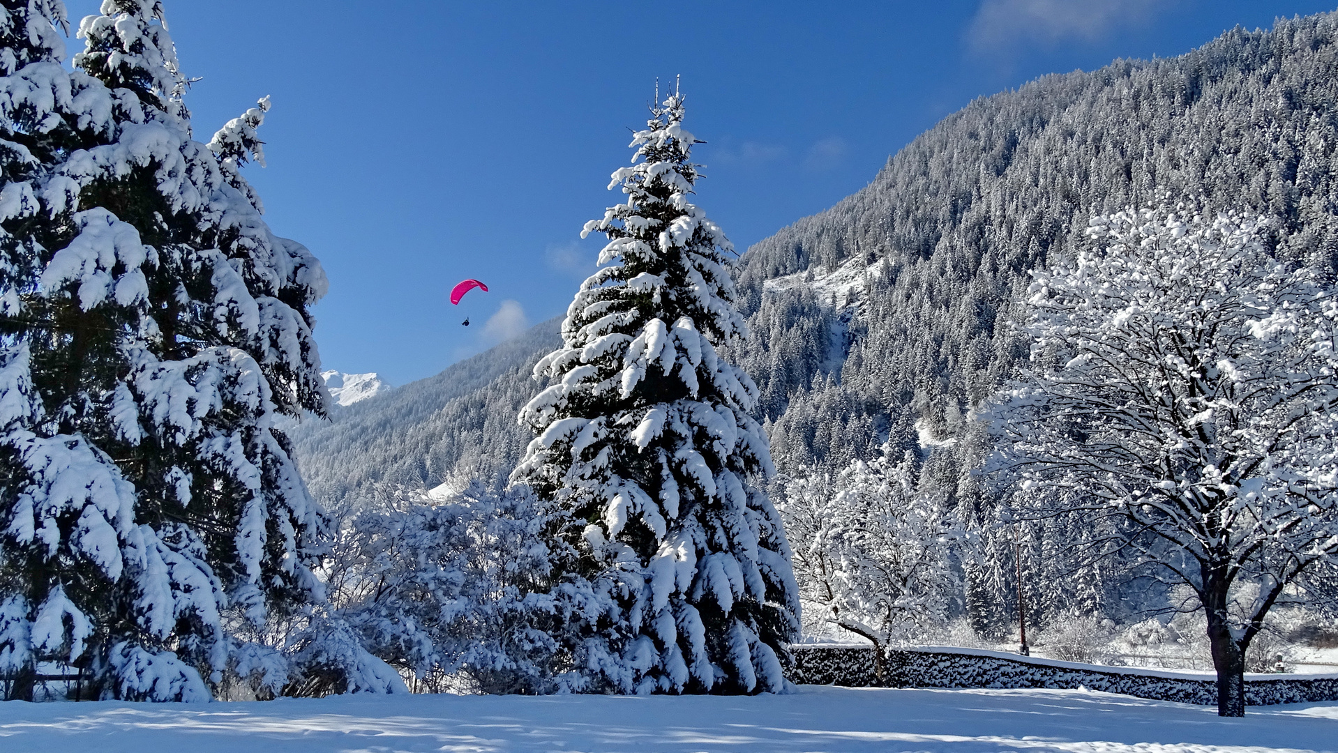 La bellezza invernale...!!!