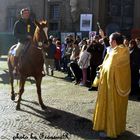 La benedizione degli animali