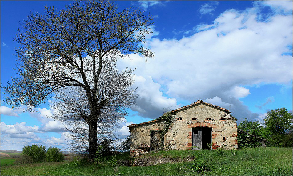 LA BERGERIE