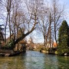 La Bèze traversant le village