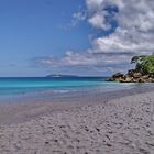 La bianca spiaggia delle Seychelles