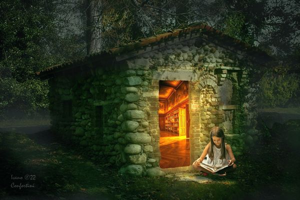 La biblioteca nel bosco