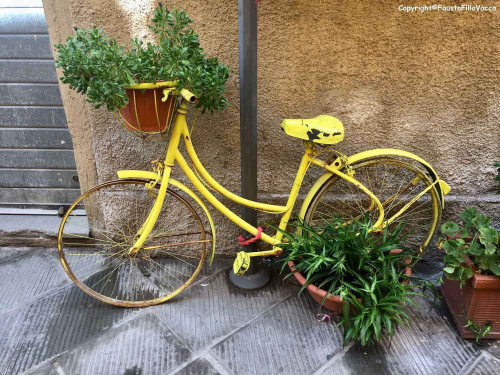 la Bici autunnale....