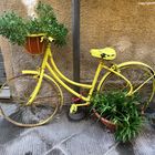 la Bici autunnale....