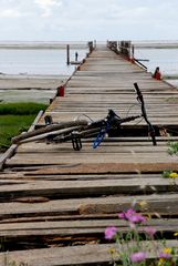 La bici innamorata del mare