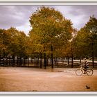 La Bici y La Paloma...