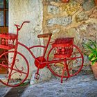 La bicicleta roja