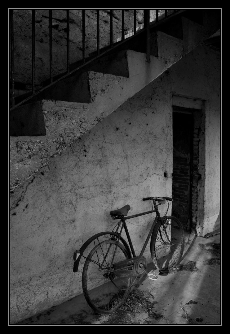 La bicicletta b/n (Radici)