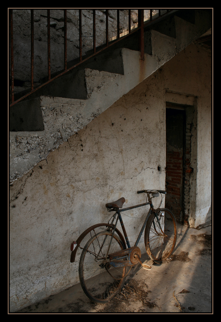 La bicicletta (Radici)