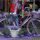La bicyclette à la lavande  --  Sirmione