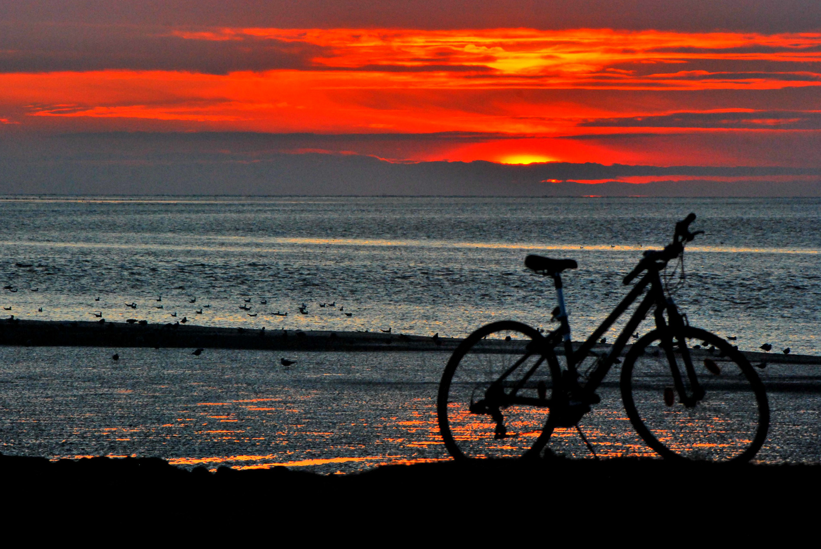 La bicyclette au couchant ..