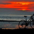 La bicyclette au couchant ..