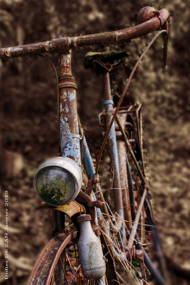 La Bicyclette bleue ....