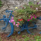 La bicyclette bleue